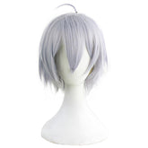 Silver Perücke Twisted Wonderland DIASOMNIA Perücke - cosplaycartde